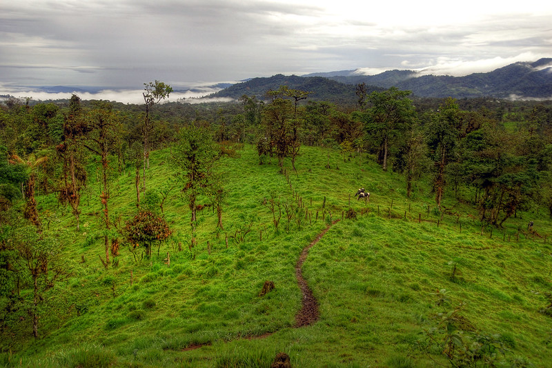 cloudforest after deforestation