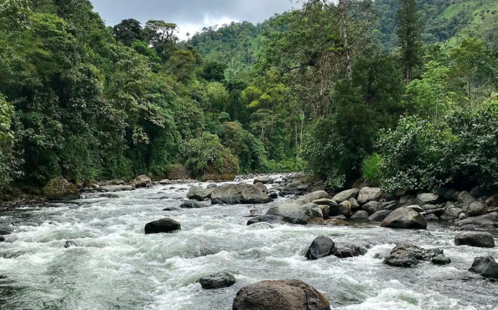 Rio Saloya Resiste Ecuador